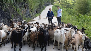 币游国际集團下派的第一書記蔣巍與馬頭羊養殖戶親切交流